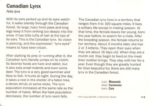1991-95 Grolier Wildlife Adventure Cards #1.9 Canadian Lynx Back