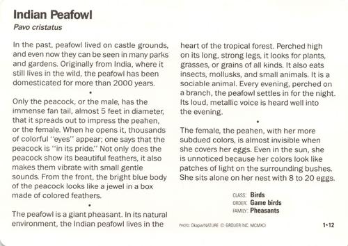 1991-95 Grolier Wildlife Adventure Cards #1.12 Indian Peafowl Back