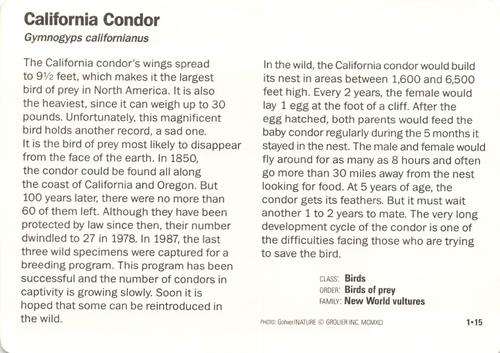 1991-95 Grolier Wildlife Adventure Cards #1.15 California Condor Back