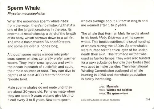 1991-95 Grolier Wildlife Adventure Cards #2.4 Sperm Whale Back