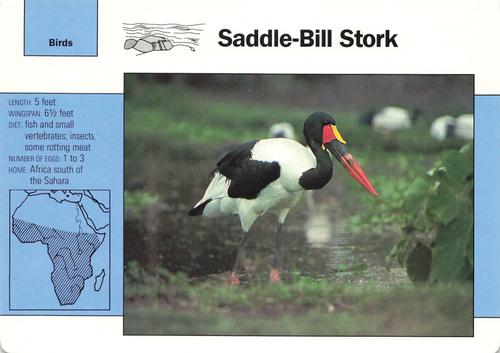 1991-95 Grolier Wildlife Adventure Cards #2.13 Saddle-Bill Stork Front