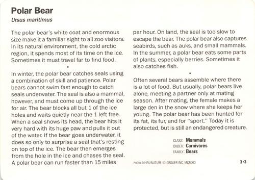 1991-95 Grolier Wildlife Adventure Cards #3.3 Polar Bear Back