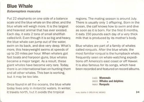1991-95 Grolier Wildlife Adventure Cards #3.4 Blue Whale Back