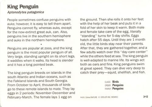 1991-95 Grolier Wildlife Adventure Cards #3.12 King Penguin Back