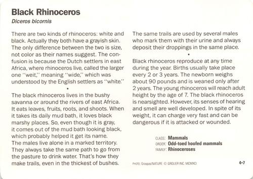 1991-95 Grolier Wildlife Adventure Cards #4.7 Black Rhinoceros Back
