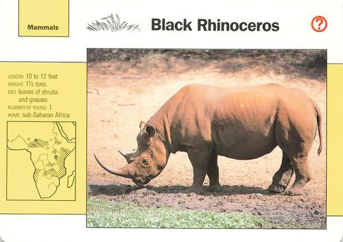 1991-95 Grolier Wildlife Adventure Cards #4.7 Black Rhinoceros Front