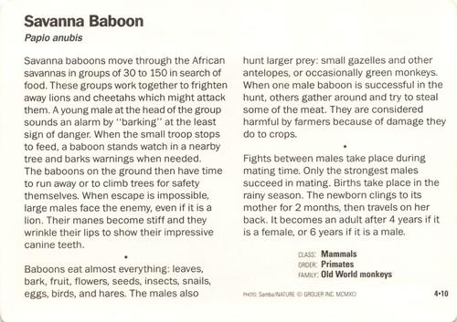 1991-95 Grolier Wildlife Adventure Cards #4.10 Savanna Baboon Back