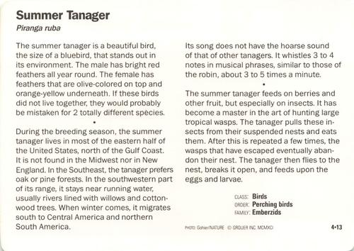 1991-95 Grolier Wildlife Adventure Cards #4.13 Summer Tanager Back