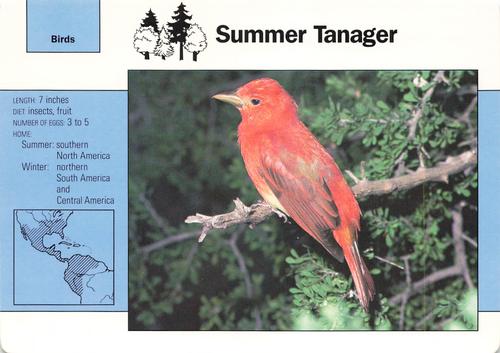 1991-95 Grolier Wildlife Adventure Cards #4.13 Summer Tanager Front