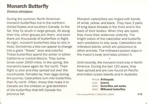 1991-95 Grolier Wildlife Adventure Cards #4.19 Monarch Butterfly Back