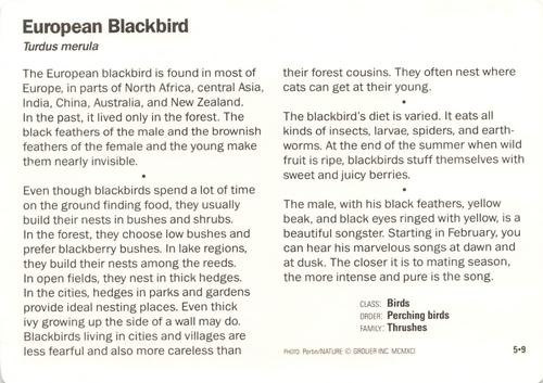 1991-95 Grolier Wildlife Adventure Cards #5.9 European Blackbird Back