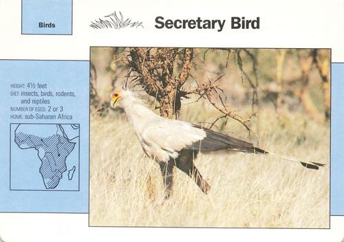 1991-95 Grolier Wildlife Adventure Cards #5.10 Secretary Bird Front