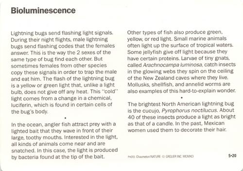 1991-95 Grolier Wildlife Adventure Cards #5.20 Bioluminescence Back