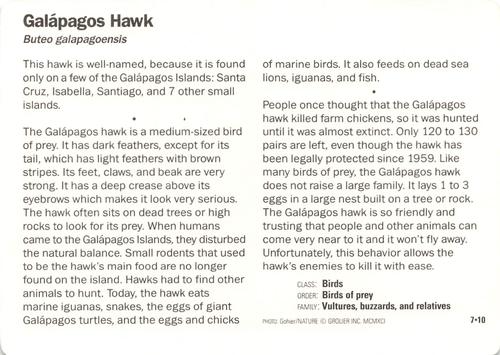1991-95 Grolier Wildlife Adventure Cards #7.10 Galapagos Hawk Back