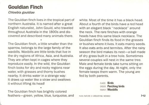 1991-95 Grolier Wildlife Adventure Cards #7.12 Gouldian Finch Back