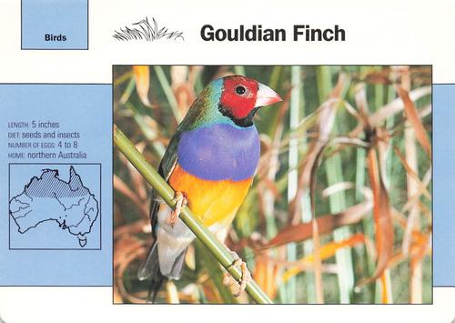 1991-95 Grolier Wildlife Adventure Cards #7.12 Gouldian Finch Front