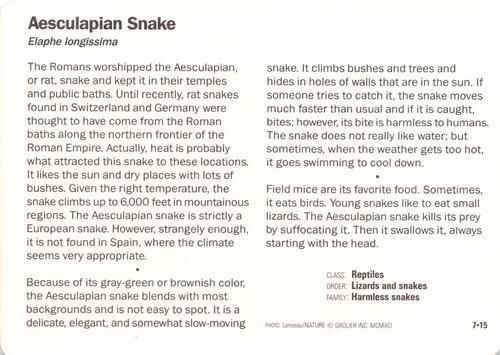 1991-95 Grolier Wildlife Adventure Cards #7.15 Aesculapian Snake Back