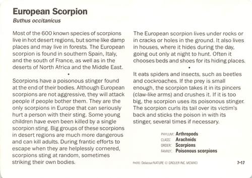 1991-95 Grolier Wildlife Adventure Cards #7.17 European Scorpion Back