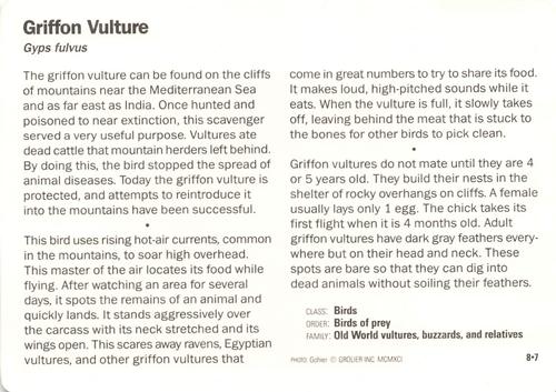 1991-95 Grolier Wildlife Adventure Cards #8.7 Griffon Vulture Back
