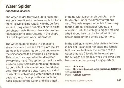 1991-95 Grolier Wildlife Adventure Cards #8.15 Water Spider Back