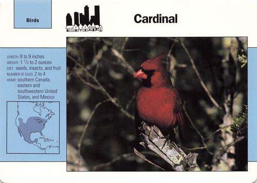 1991-95 Grolier Wildlife Adventure Cards #9.7 Cardinal Front