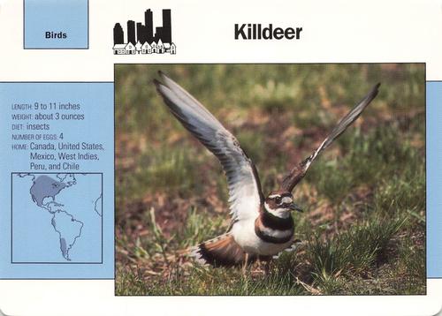 1991-95 Grolier Wildlife Adventure Cards #9.8 Killdeer Front