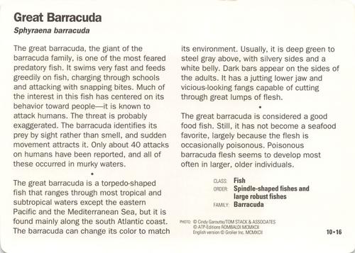 1991-95 Grolier Wildlife Adventure Cards #10.16 Great Barracuda Back
