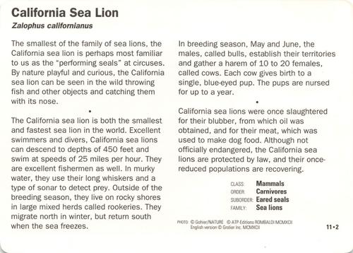 1991-95 Grolier Wildlife Adventure Cards #11.2 California Sea Lion Back