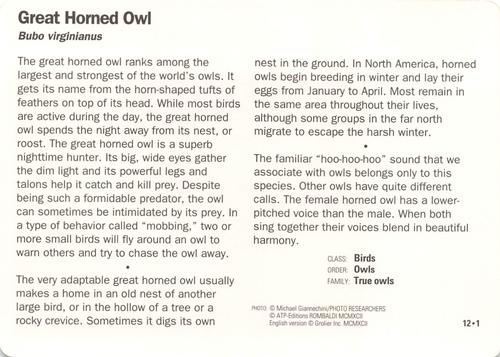 1991-95 Grolier Wildlife Adventure Cards #12.1 Great Horned Owl Back