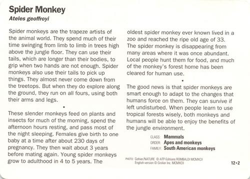 1991-95 Grolier Wildlife Adventure Cards #12.2 Spider Monkey Back