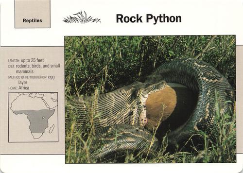 1991-95 Grolier Wildlife Adventure Cards #12.11 Rock Python Front