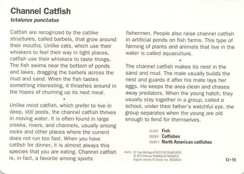 1991-95 Grolier Wildlife Adventure Cards #12.15 Channel Catfish Back