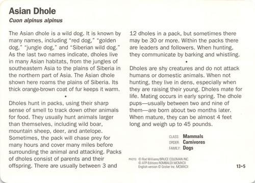 1991-95 Grolier Wildlife Adventure Cards #13.5 Asian Dhole Back