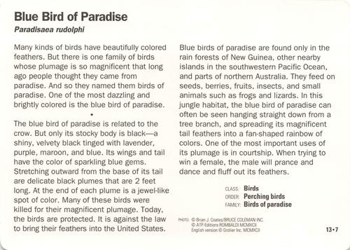 1991-95 Grolier Wildlife Adventure Cards #13.7 Blue Bird of Paradise Back