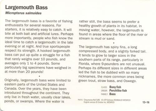 1991-95 Grolier Wildlife Adventure Cards #13.16 Largemouth Bass Back