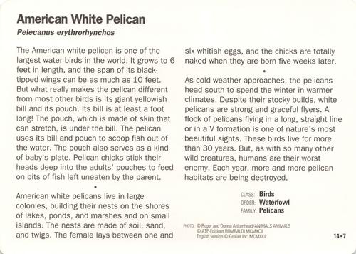 1991-95 Grolier Wildlife Adventure Cards #14.7 American White Pelican Back