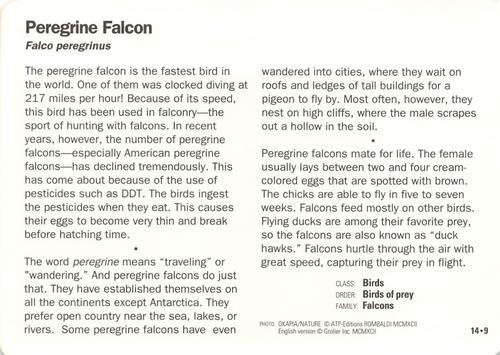 1991-95 Grolier Wildlife Adventure Cards #14.9 Peregrine Falcon Back