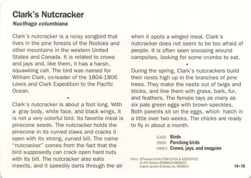 1991-95 Grolier Wildlife Adventure Cards #14.10 Clark's Nutcracker Back