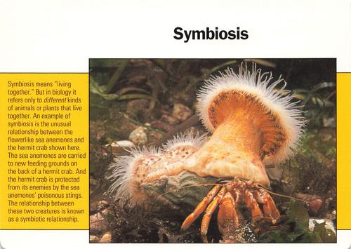 1991-95 Grolier Wildlife Adventure Cards #14.20 Symbiosis Front