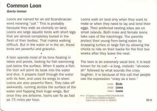 1991-95 Grolier Wildlife Adventure Cards #15.5 Common Loon Back