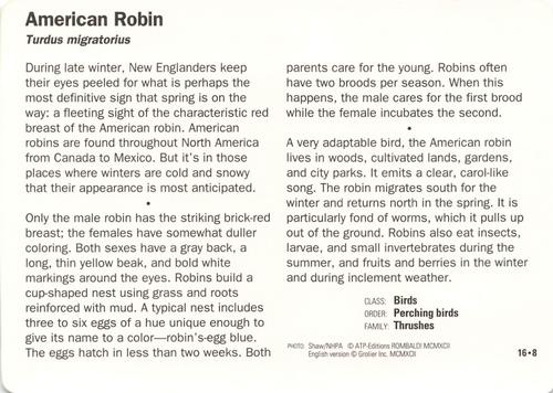 1991-95 Grolier Wildlife Adventure Cards #16.8 American Robin Back