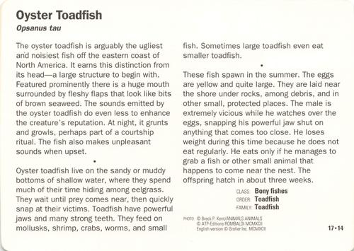 1991-95 Grolier Wildlife Adventure Cards #17.14 Oyster Toadfish Back
