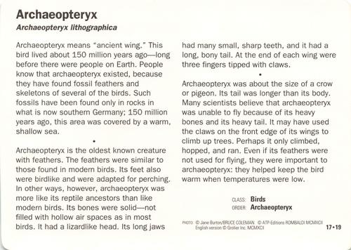 1991-95 Grolier Wildlife Adventure Cards #17.19 Archaeopteryx Back