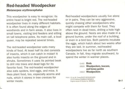 1991-95 Grolier Wildlife Adventure Cards #18.7 Red-headed Woodpecker Back
