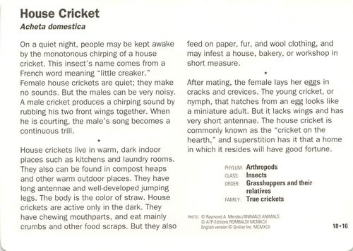 1991-95 Grolier Wildlife Adventure Cards #18.16 House Cricket Back