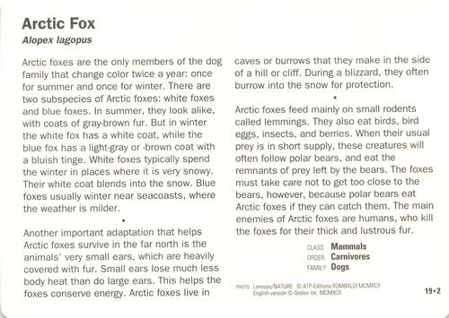 1991-95 Grolier Wildlife Adventure Cards #19.2 Arctic Fox Back