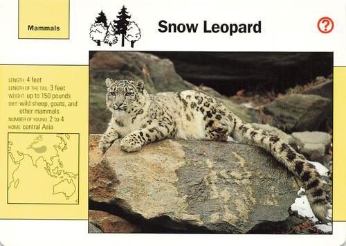 1991-95 Grolier Wildlife Adventure Cards #19.4 Snow Leopard Front