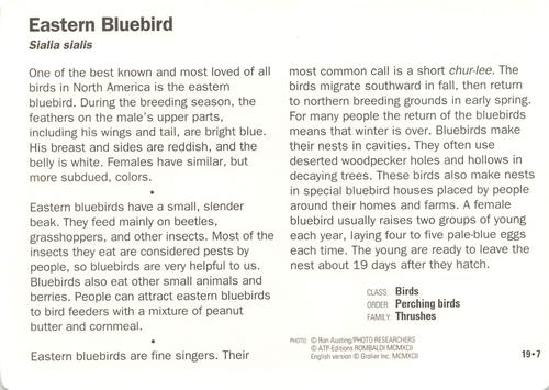 1991-95 Grolier Wildlife Adventure Cards #19.7 Eastern Bluebird Back