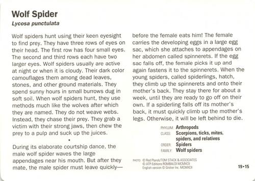 1991-95 Grolier Wildlife Adventure Cards #19.15 Wolf Spider Back