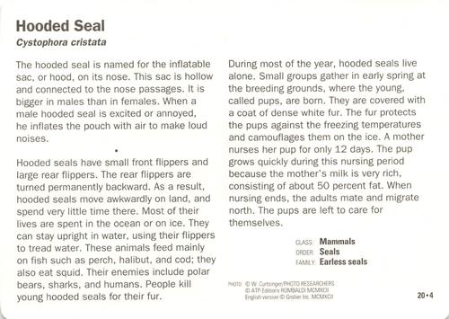 1991-95 Grolier Wildlife Adventure Cards #20.4 Hooded Seal Back